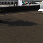 Hirschvogel_002 Hirschvogel_002