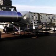 Hirschvogel_006 Hirschvogel_006