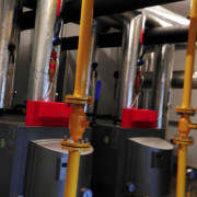 BelmaFlex007 BelmaFlex007